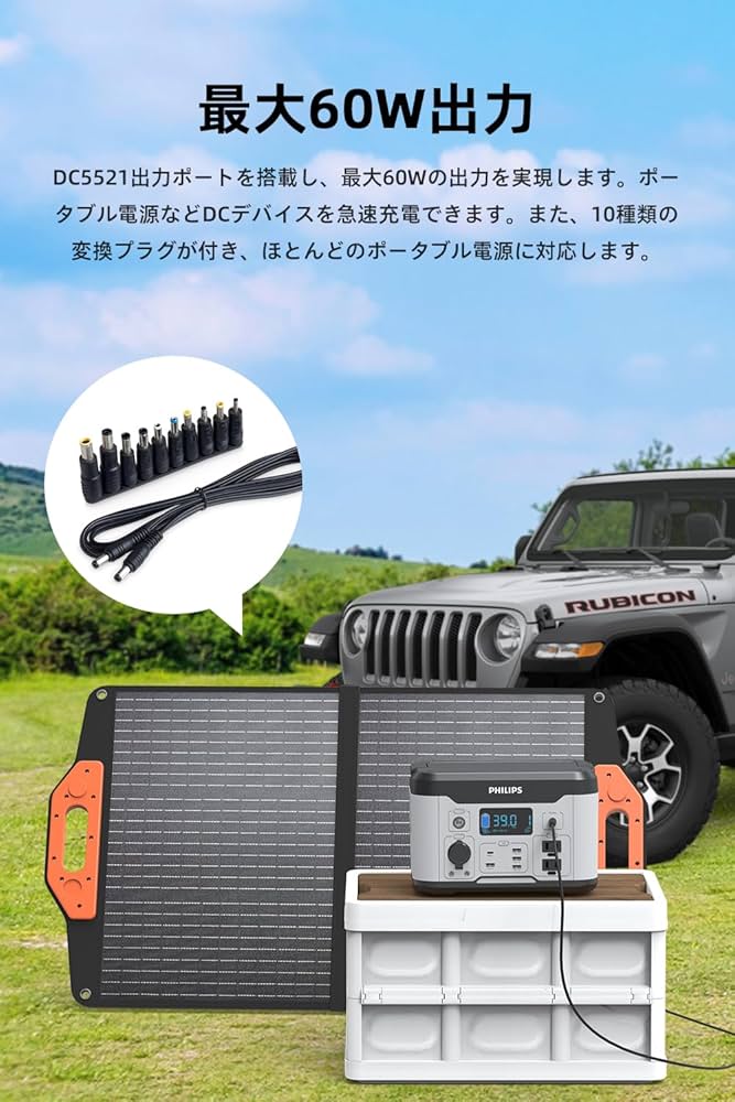 Amazon.co.jp: Philips (フィリップス) 60Wソーラーパネル